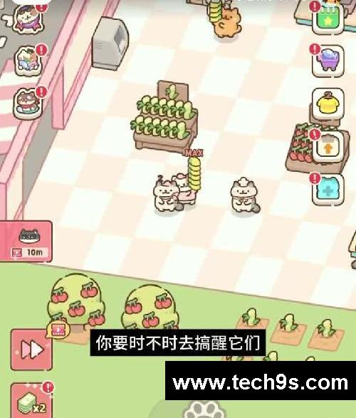 巨巨巨巨巨巨巨可爱的小猫超市游戏